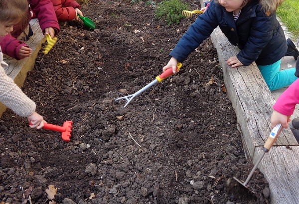 Nos nouvelles plantations